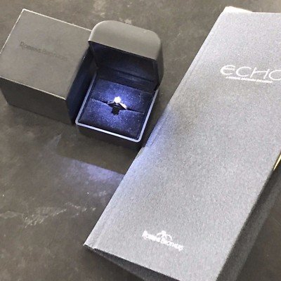 Robbins Brothers Echo 0.40 CT E SI2 With Paperwork and Box Retail $3k - Image 2