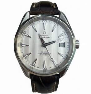 OMEGA Seamaster Aqua Terra 231.10.42.21.02.001