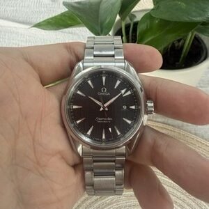 Omega Seamaster Aqua Terra 231.10.39.61.06.001 Stainless Steel Quartz