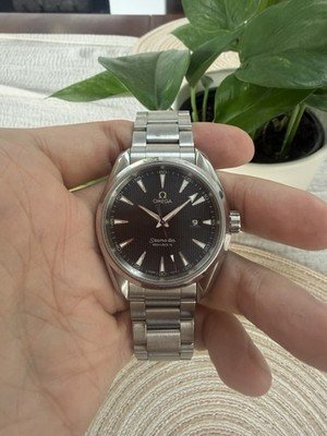 Omega Seamaster Aqua Terra 231.10.39.61.06.001 Stainless Steel Quartz