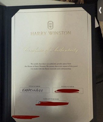 Harry Winston Garland Cluster Large Diamond Earrings - 4.70 Carats - Image 5